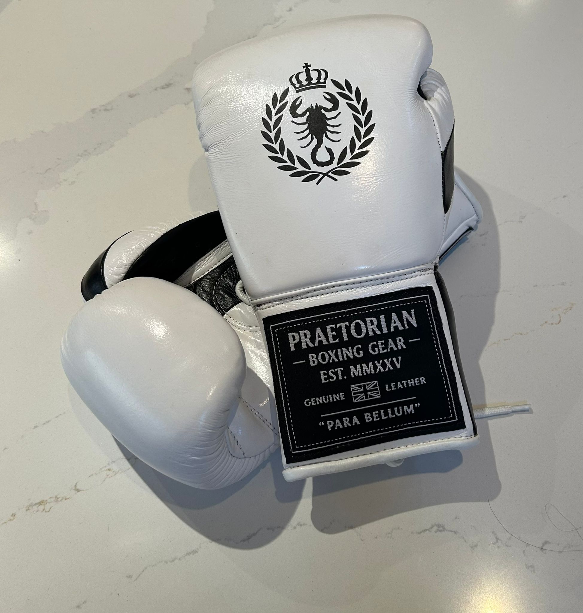 Praetorian Gladiator Boxing Gloves