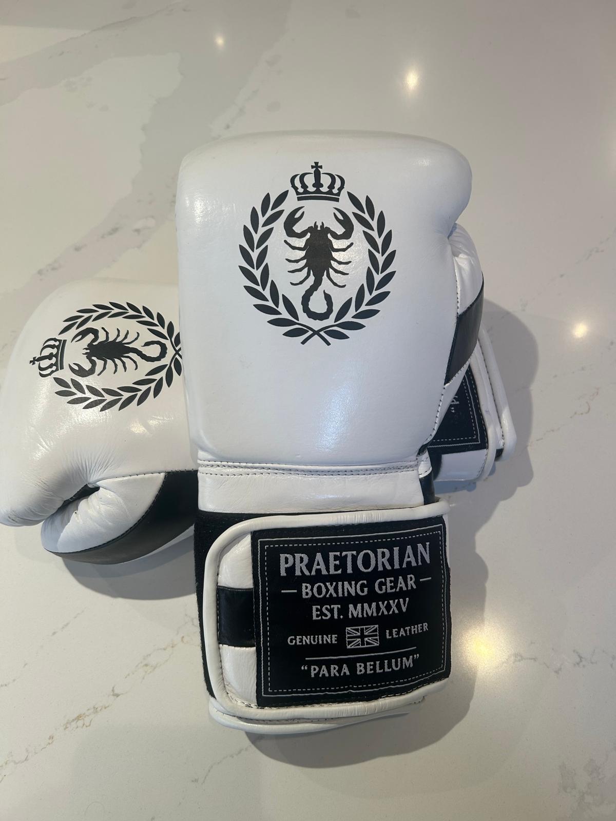 Praetorian Gladiator Boxing Gloves